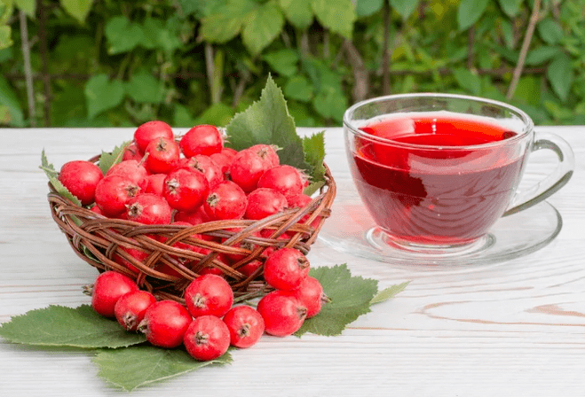 A Hawthorn's decoction