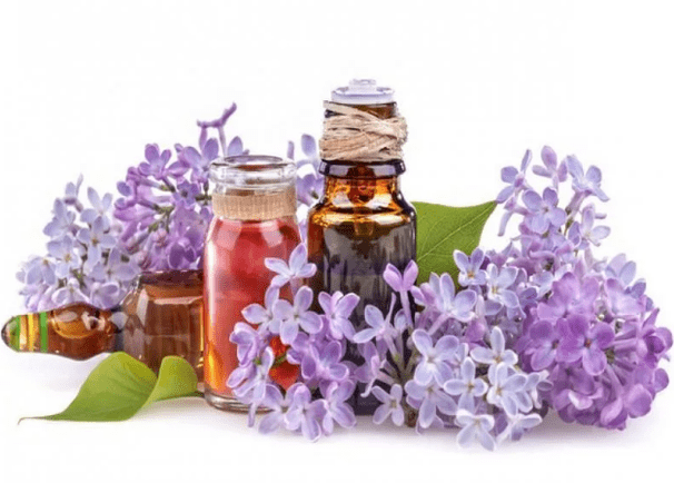 The infusion of the lilacs